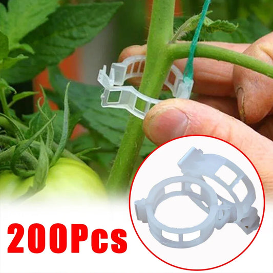 150/50Pcs Plastic Plant Support Clips Reusable Plant Vine Protection Grafting Fixing Tool for Vegetable Tomato Garden Supplies